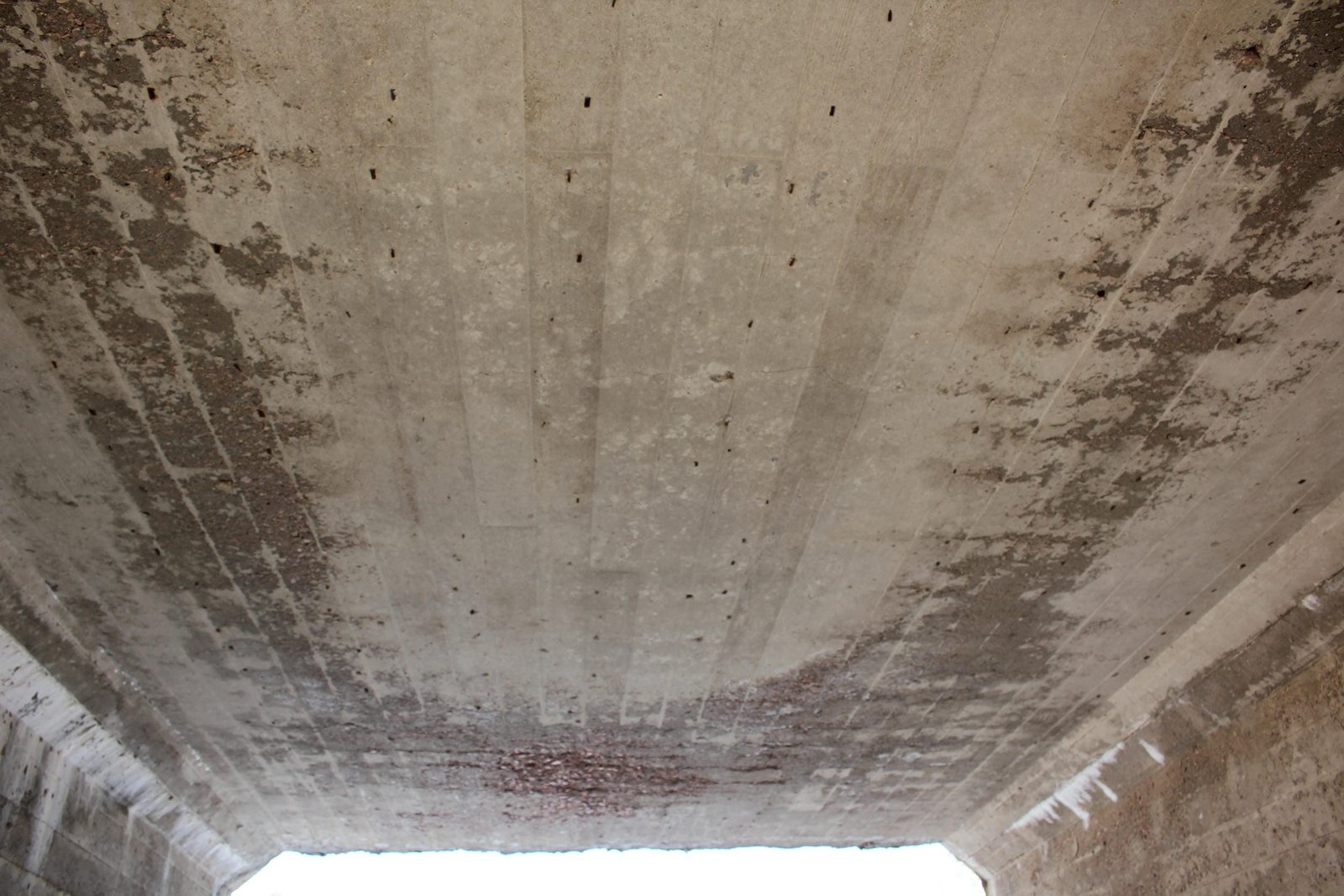 Ceiling details